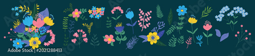 Floral Botanical Graphic Elements Set with Cute Wildflowers and Leaves on Dark Background. Hand-drawn flowers in abstract form