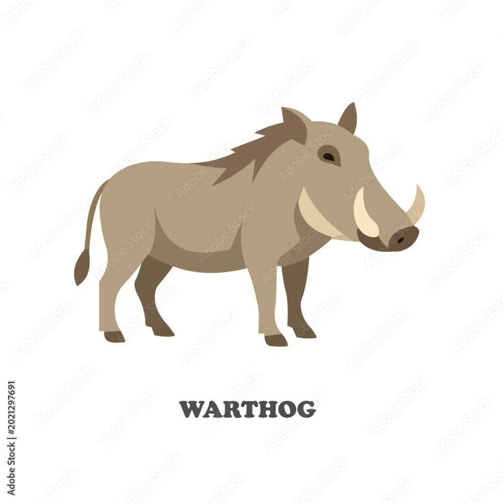 Fototapeta premium Warthog vector illustration in flat cartoon style. African safari wildlife animal isolated on white background for zoo and nature design.