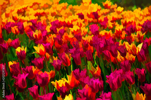 Colorful Tulip Field Illustration