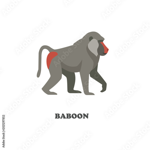 Canvas Print Baboon vector illustration in flat cartoon style
