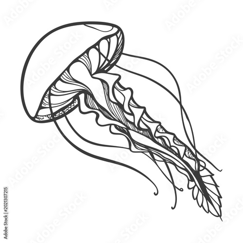 Foto A membrane is a thin, flexible layer that surrounds, protects, and controls the movement of substances in and out of cells, helping maintain balance and function