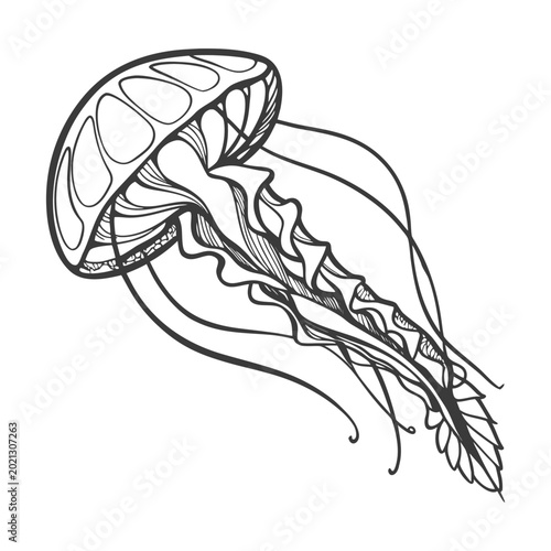 Bilde på lerret A membrane is a thin, flexible layer that surrounds, protects, and controls the movement of substances in and out of cells, helping maintain balance and function