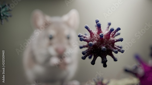 Foto A colony of hantavirus under a microscope