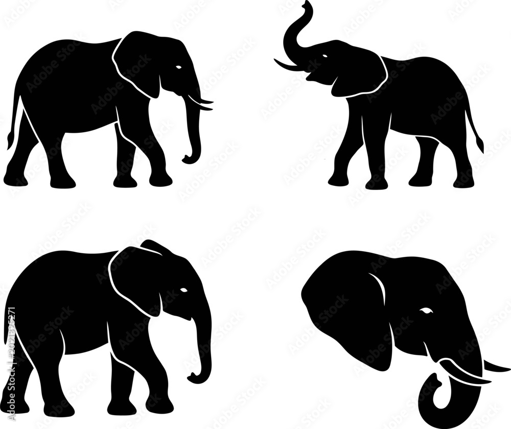 Fototapeta premium Set of four black elephant silhouettes in different poses and positions