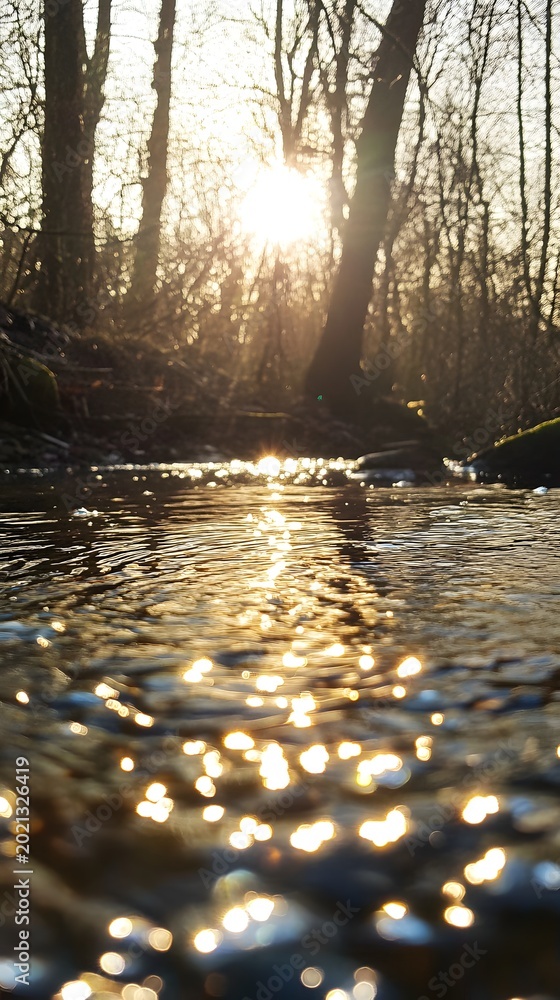 Fototapeta premium Sunlight streams through the trees, creating dazzling reflections on the calm forest water surface.