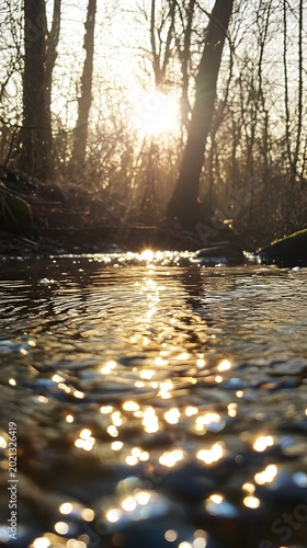 Sunlight streams through the trees, creating dazzling reflections on the calm forest water surface.