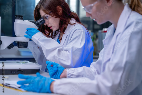 Laboratory research event with young scientists modern lab education content controlled environment close-up view scientific exploration
