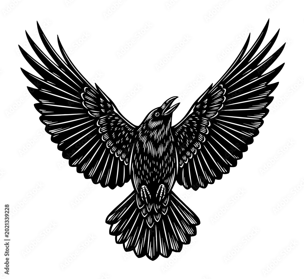 Fototapeta premium Crow Flying Upward Wings Spread Black and White Outline Line Art Drawing Vector Illustration Design