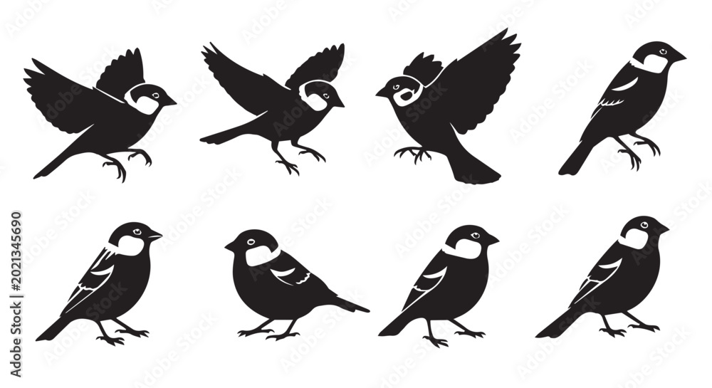 Obraz premium Sparrow silhouettes in flight and perched against a white background for avian concepts