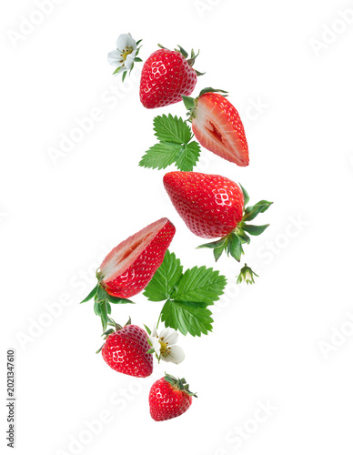 Ripe strawberries with leaves and flowers floating in the air on a transparent background