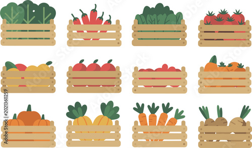 Flat wooden crates with fresh vegetables collection isolated vector illustration for organic grocery market