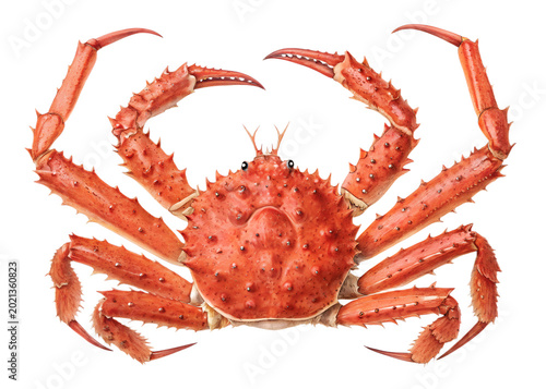 Large red king crab animal isolated on a clean surface