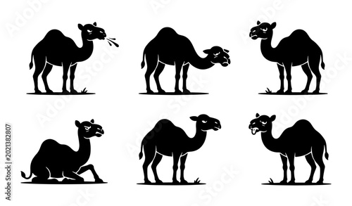 Fotografie Set of Six Black Camel Silhouettes, Desert Animal Poses, Vector Illustrations fo