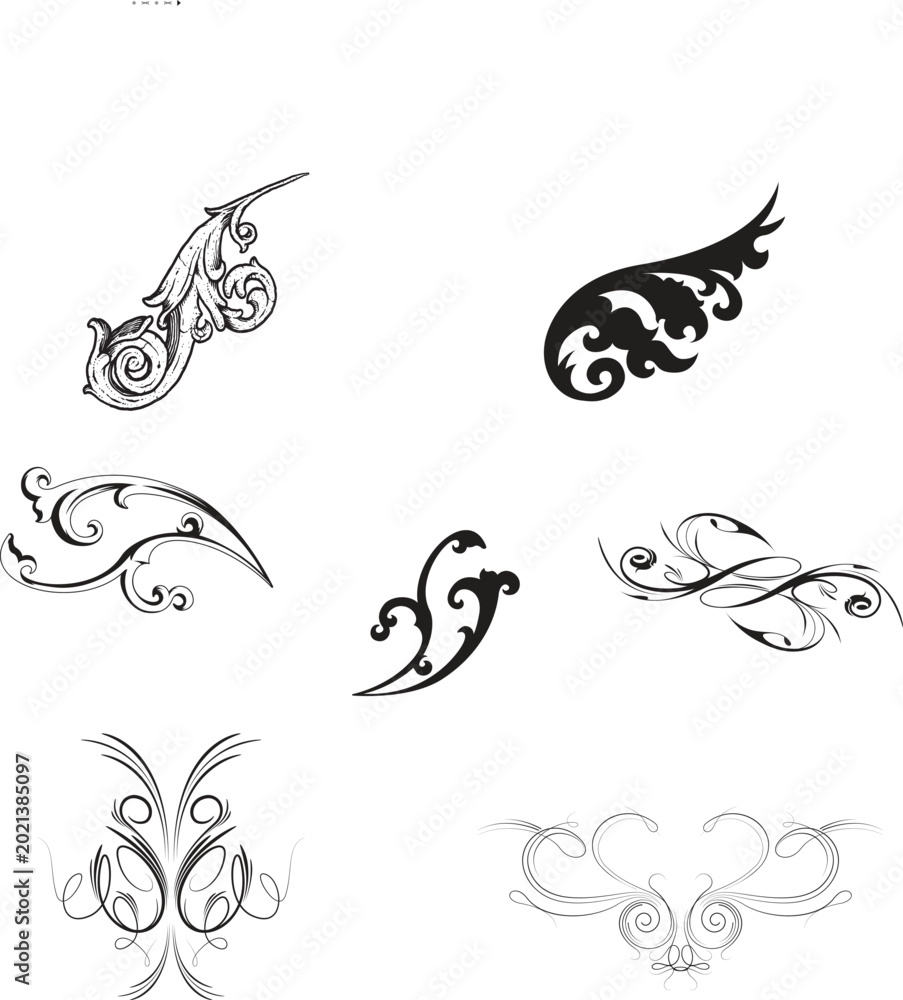 Fototapeta premium Ornate swirl designs, black and gray flourishes, vector ornamental elements, decorative borders