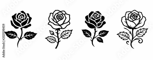 Black and white rose with detailed petals and leaves