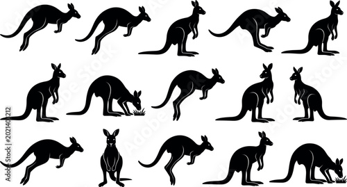 Bild auf Leinwand Collection of kangaroo silhouette poses, Australian wildlife vector set isolated
