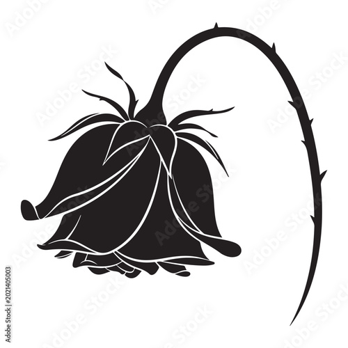 Cuadro en lienzo Black silhouette of a wilted rose with a drooping thorny stem