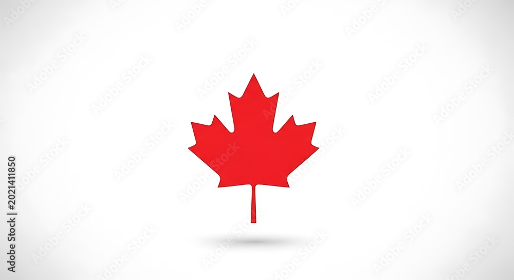 Fototapeta premium Red maple leaf isolated on white background with soft shadow