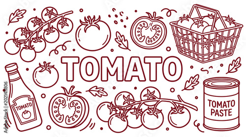 Photos Set of tomato doodle vector elements
