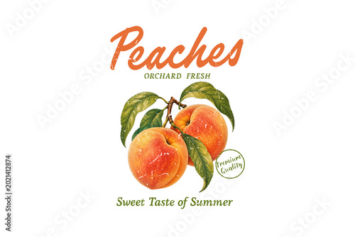 Orchard Fresh Peaches Sweet Taste of Summer Illustration Sublimation Design