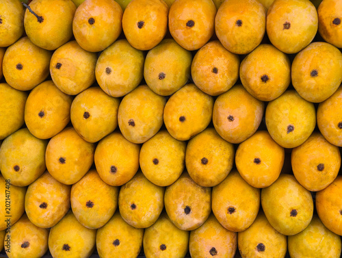 Quadro su tela Indian Alphonso mango fruits closeup