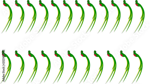 Obraz na płótnie Quetzal birds are depicted in a repeated pattern of green feathers and red chests, showcasing a stylized visual arrangement that highlights the unique beauty of these tropical forest creatures