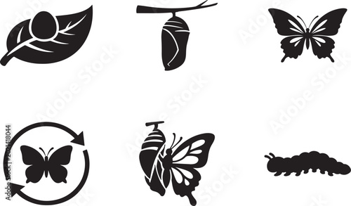 Quadro su tela Butterfly life cycle stages vector showing metamorphosis from caterpillar to adult butterfly
