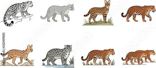 Canvas Print Wild cats collection vector illustration featuring different feline species incl