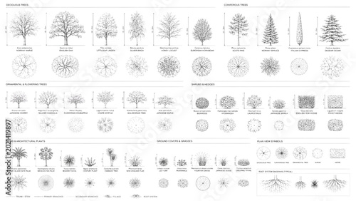 Collection of Architectural Tree Symbols for CAD Software and Landscape Design