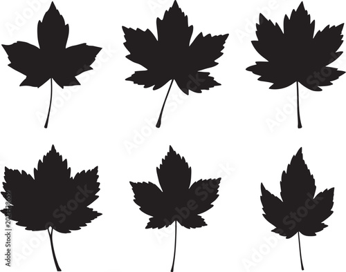 Black flat botanical silhouettes of maple leaves for seasonal fall branding