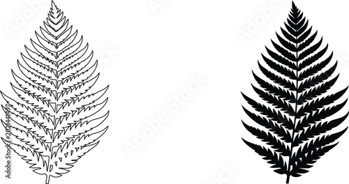 Bilde på lerret Fern leaf vector illustration outline and solid silhouette forest plant foliage collection