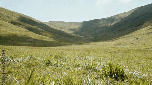 A serene grassy valley surrounded by rolling hills under a clear sky