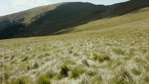 Grassy meadow in a mountainous landscape with rolling hills and natural vegetation