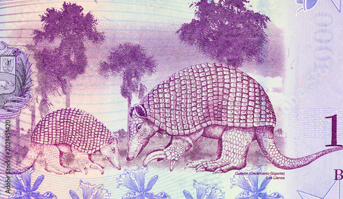Bild auf Leinwand 1000 Bolivares Venezuela, fragment for designers