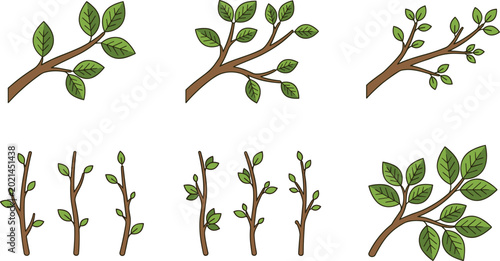 Photos Collection of green tree branches with fresh leaves and small twigs in cartoon s