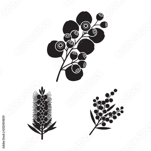 Blackberry branch blueberry and elderberry silhouette set