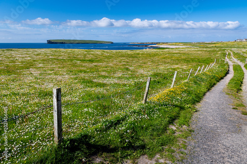 Fotografie Littoral rural du nord est des Orcades avec l'île Brough of Birsay dans le fond
