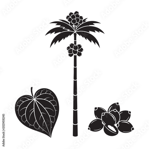 Obraz na plátne Areca nut palm tree betel leaf and fruit black silhouette