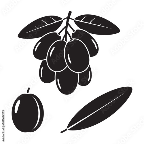 Java plum jambulan fruit bunch single berry and leaf set