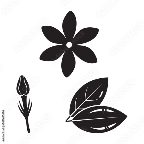 Bild auf Leinwand Tiare flower tahitian gardenia blossom bud and leaf set
