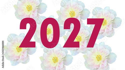 2027 Year Number with White Flowers Isolated on Transparent Background for Floral Calendar and Celebration