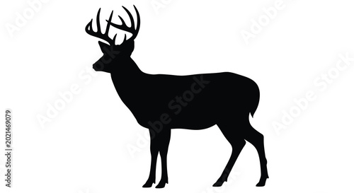 Photos Deer silhouette against a white background silhouette