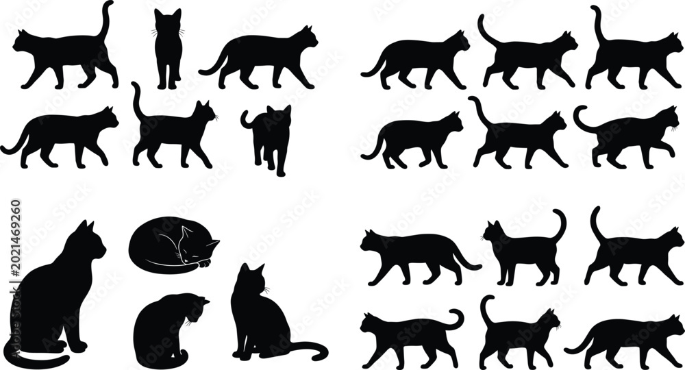 Fototapeta premium Black Cat Silhouette Collection with Walking Standing Sitting and Sleeping Feline Pose Variations