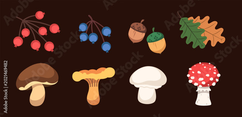 Cuadro en lienzo Autumn forest mushrooms set isolated on dark background