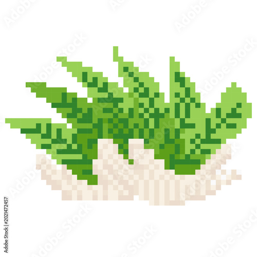 Schilderij op canvas Tuber Pixel Art Arrowroot - Pixel Art Sample