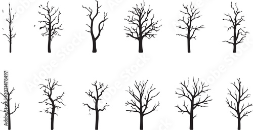 Foto Set of dead tree silhouettes isolated on white background