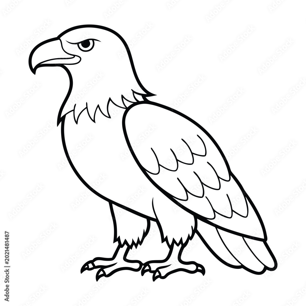 Fototapeta premium Bald Eagle Outline Vector Illustration in Black and White Line Art