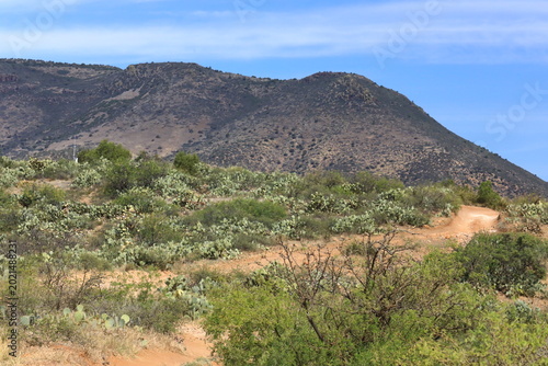 Dirt Bike and ATV trail in central Arizona