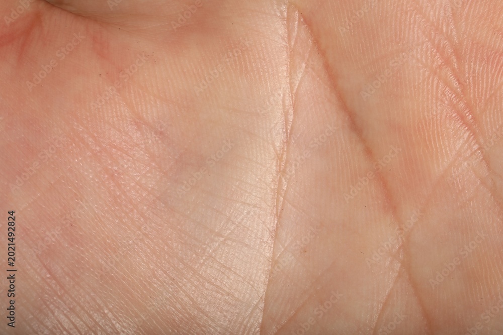 Fototapeta premium Texture of normal skin as background, closeup
