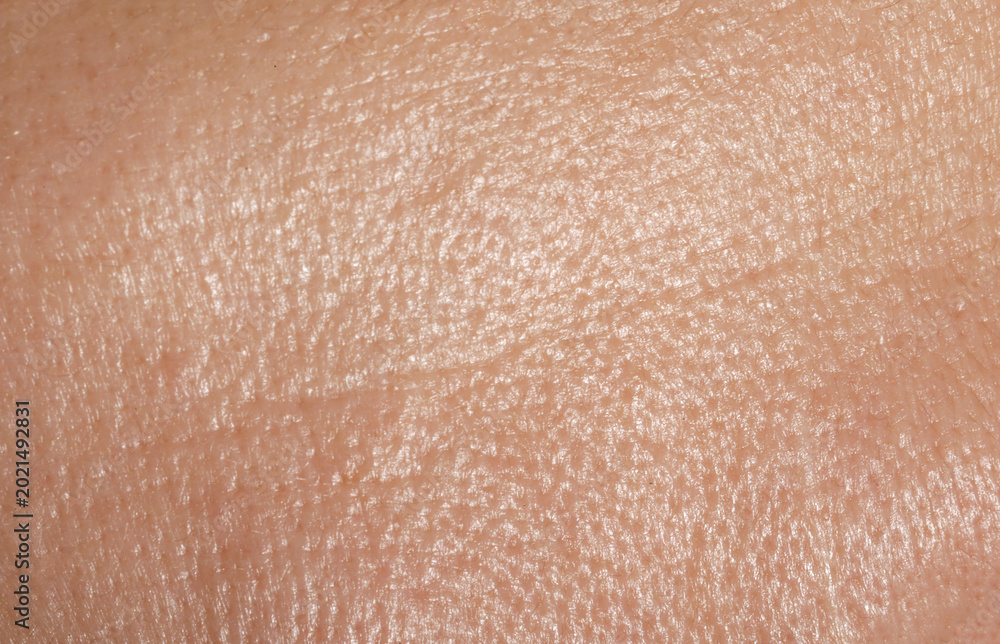 Fototapeta premium Texture of normal skin as background, closeup